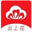 云杉花直播免费版app