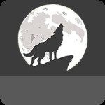 灰狼视频app