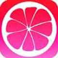 芭乐视频app最新安卓版
