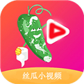 丝瓜视频视频污app