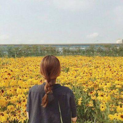 六一影视APP无限制版