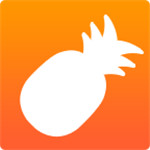 大菠萝福建导航app下载apk