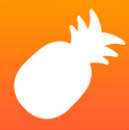 大菠萝福建导航app最新